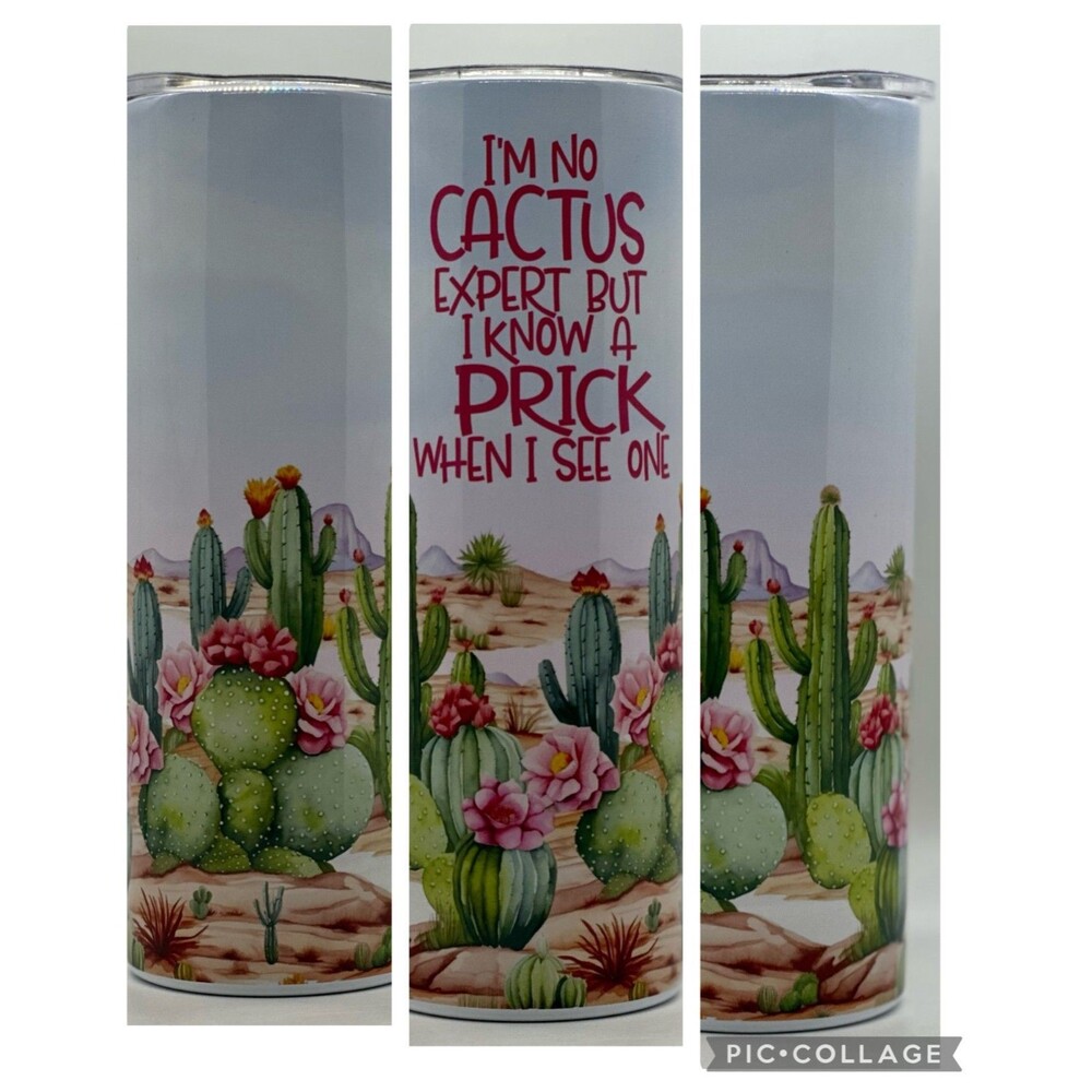 NEW "Cactus/Prick" 20 oz. Stainless Steel Tumbler w/Straw Set & Silicone Tip